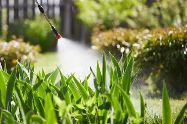 24/7 Emergency Bed Bug Control experts in Fairbury, NE