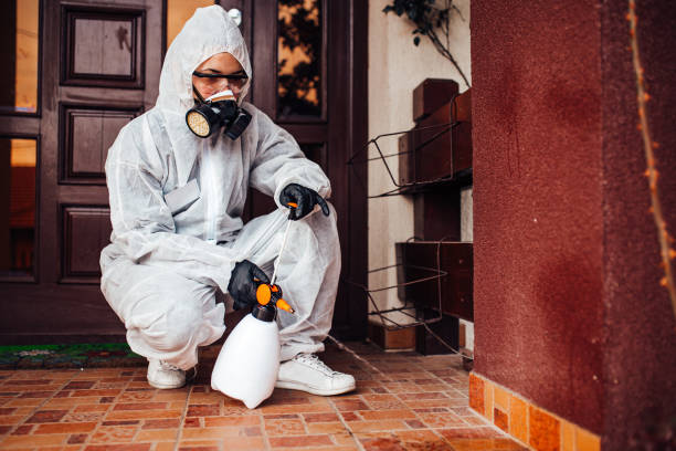 Reliable Bed Bug Control contractor in Fairbury, NE by Nex Pest Control