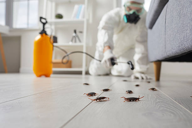Trusted Fumigation Services service in Fairbury, NE - Nex Pest Control