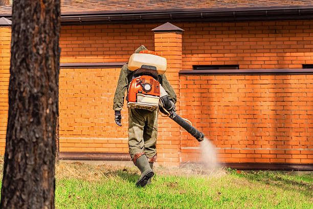 Trusted Cockroach Control service in Fairbury, NE - Nex Pest Control
